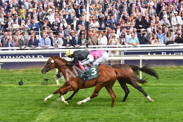 yr20082021r2-59 - Race 2 2.25pm Weatherbys Hamilton Lonsdale Cup (British Champion Series race)