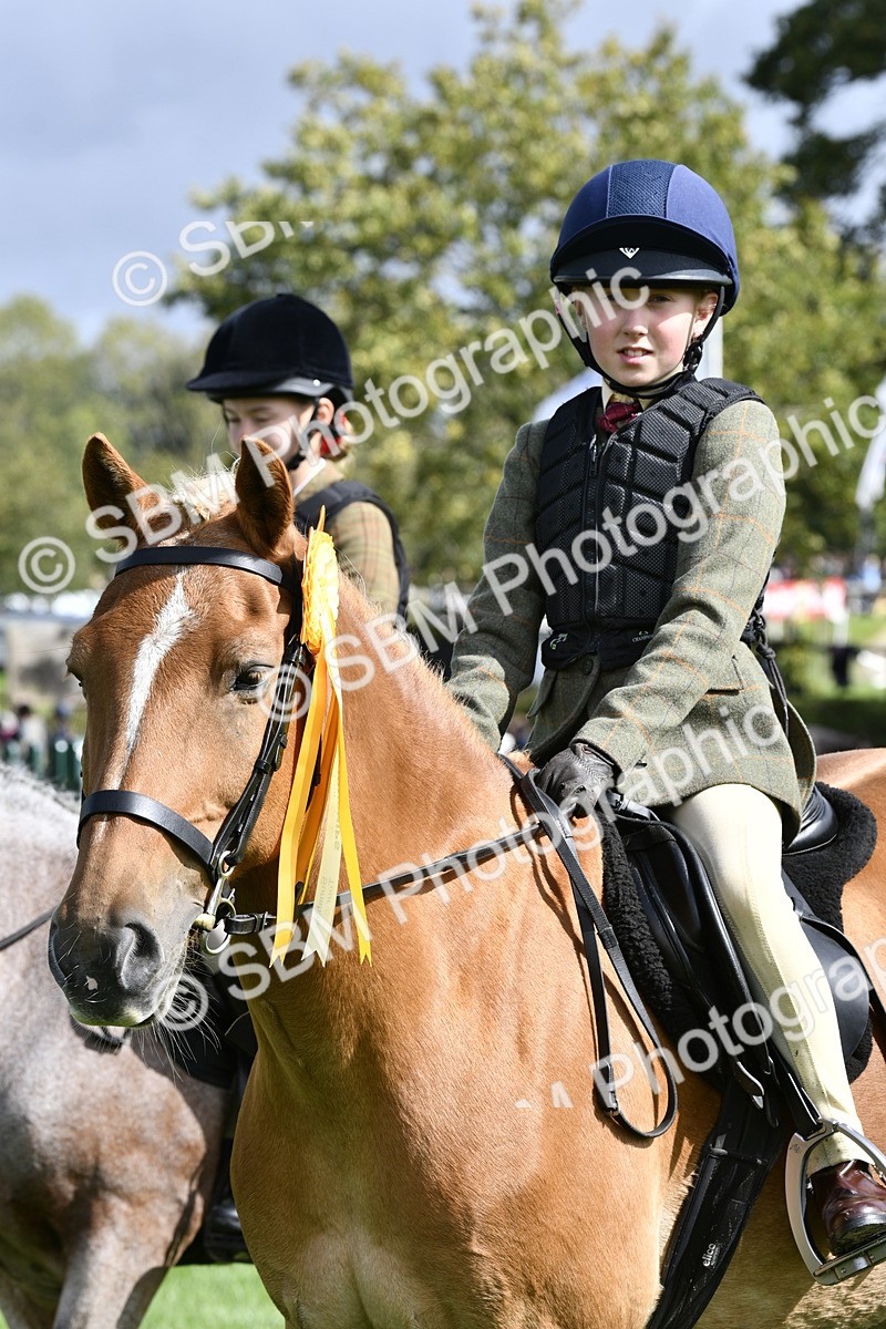 SBM_41676 - S32 - Mountain & Moorland Working Hunter Pony