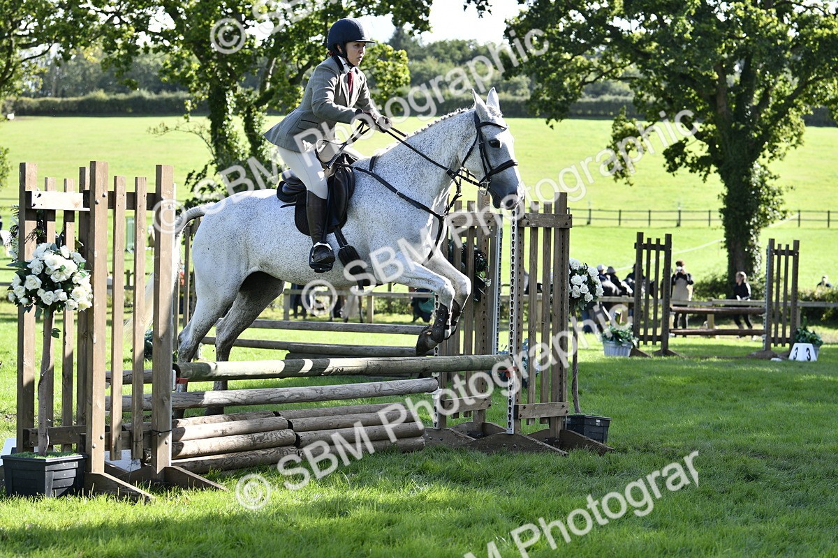 SBM_50020 - S34 - Novice & Newcomers Working Hunter