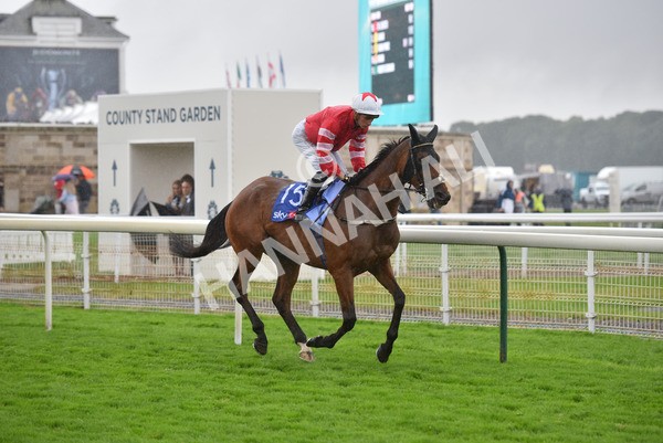 yr21082021r4-58 - Race 4 3.35pm Sky Bet Ebor