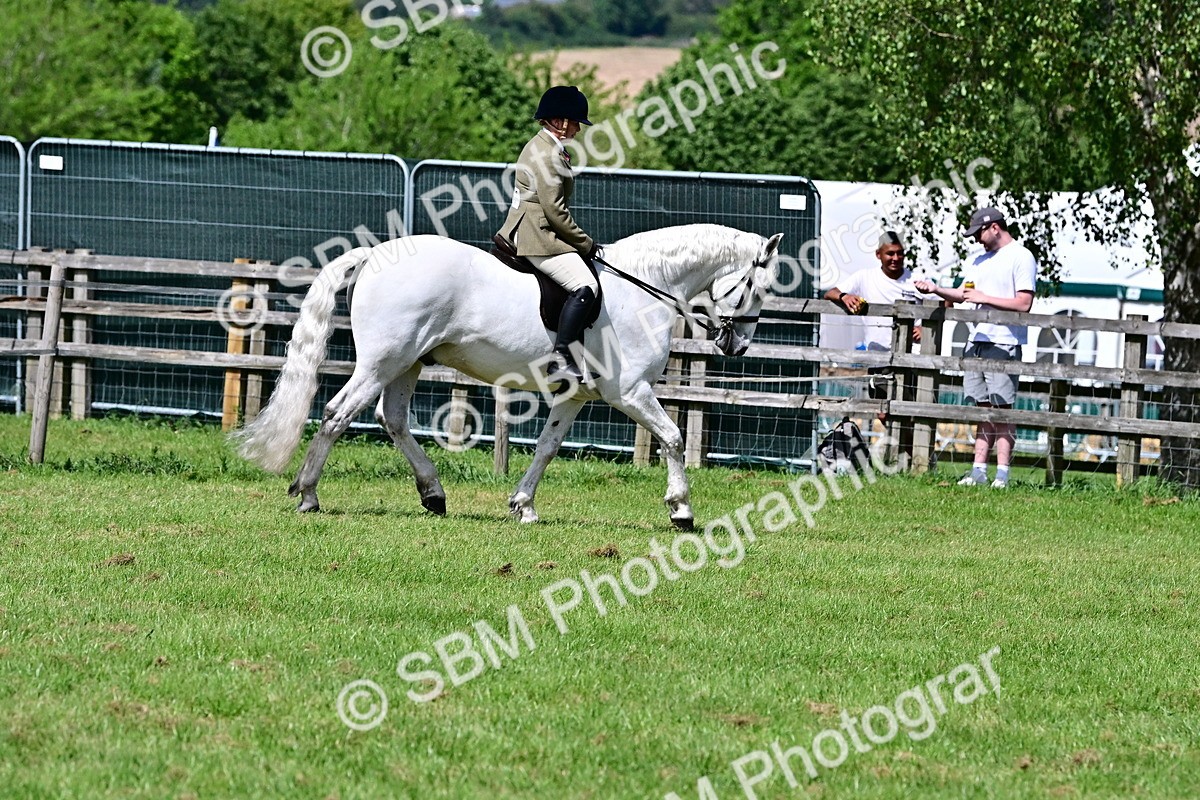 SBM_08038 - Class 61-62 - TSR  M&M Ridden Amateur of the Year