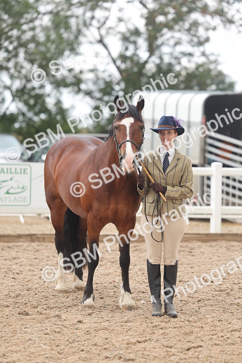 SBM_03243 - Class 16 - IH M&M Wildcard