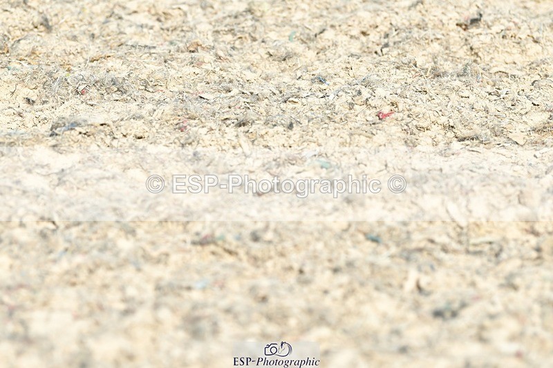 230623-165023-02918 - Cls 9 Advanced Medium 91Q