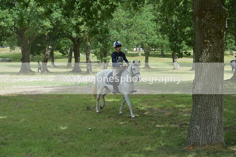 NGP_7863 - Time 11:28 to 11:38