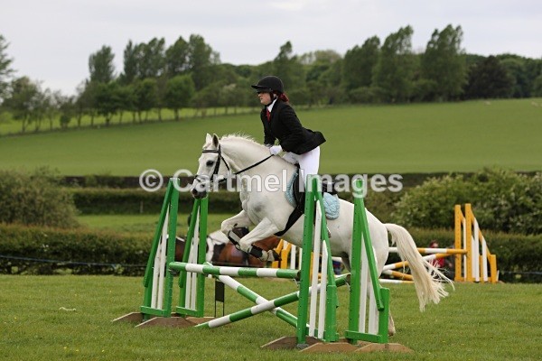 MB_M1829 - Working Hunter/Show Jumping