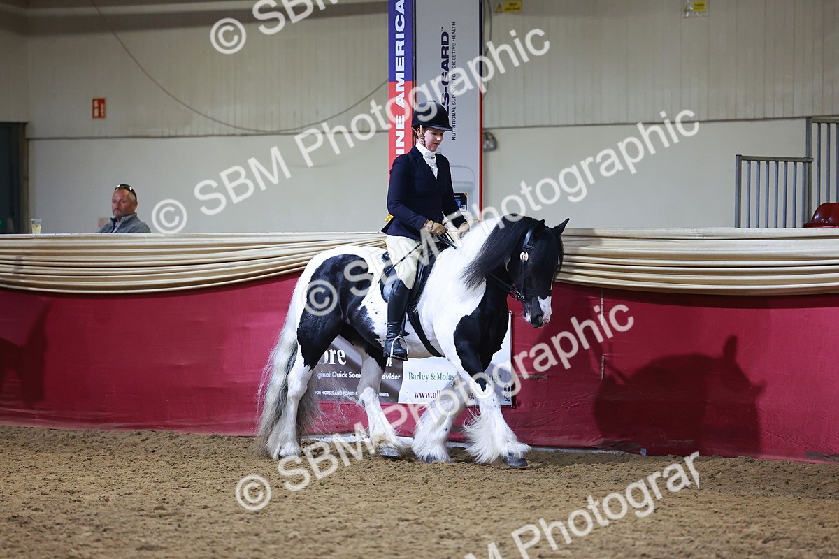 SBM_14800 - Class K - Ridden Competition - Riding Club Champ