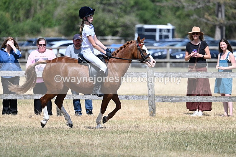 WJ7_3318 - Class 8 Ridden Veterans