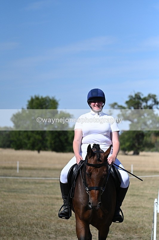 WJ7_1527 - Class 42 Most Handsome Gelding