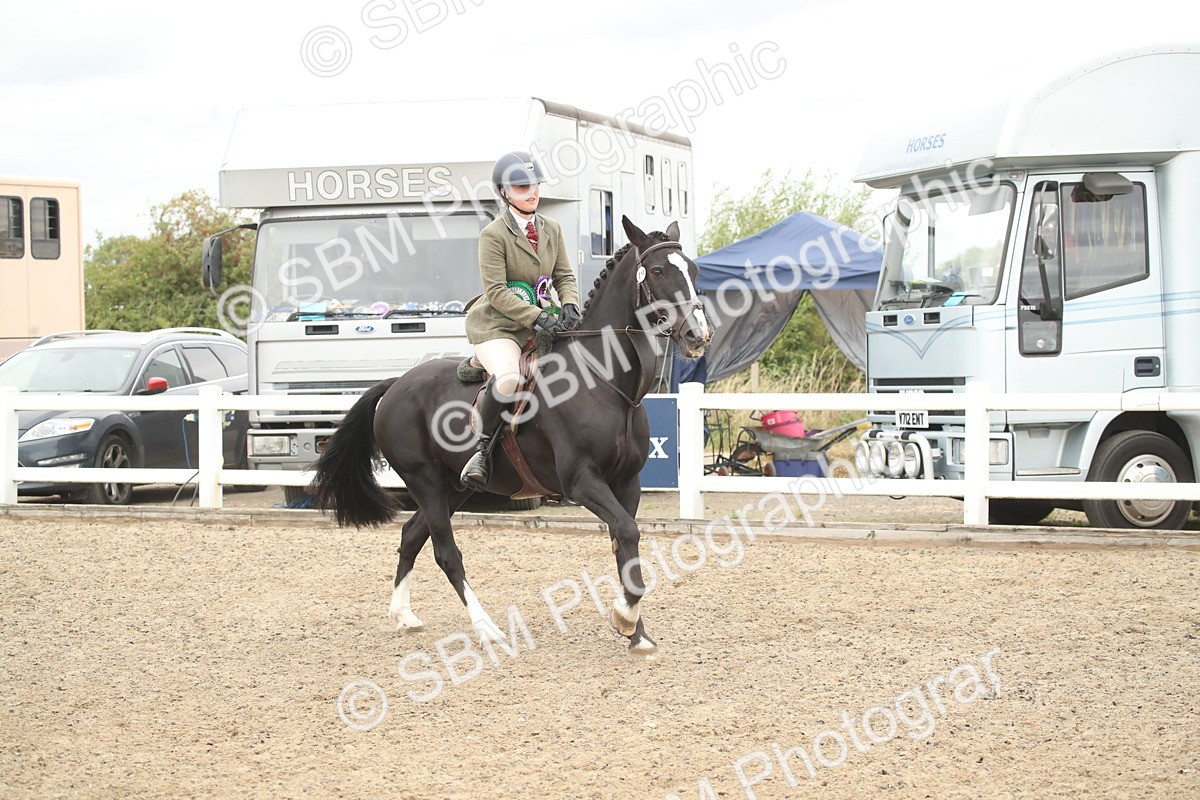 SBM_18353 - Class 509a - Working Veteran - 80cm (15-19)