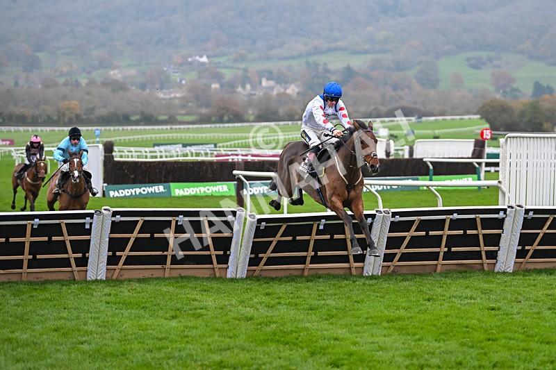 151124-Race 5-Potters Charm-8438 - Race 5