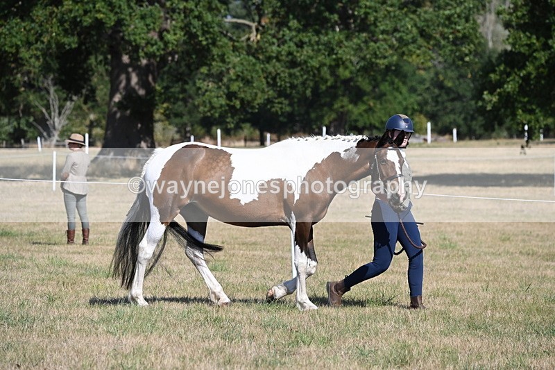 WJ6_4169 - Class 16 Condition & Turn Out