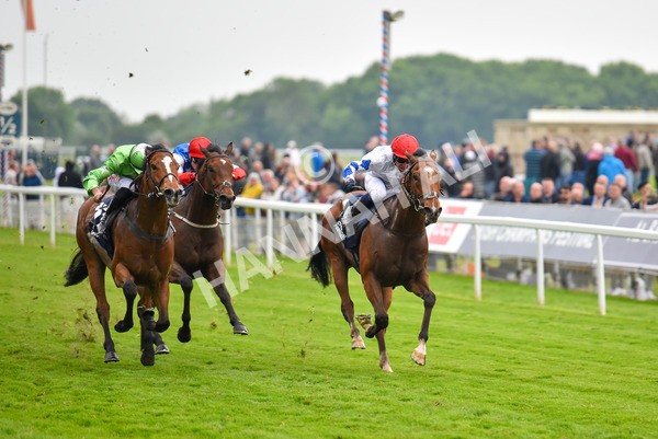 190523-Race 7-Kuwait City-1089 - Race 7 5.15pm Irish Champions Festival Handicap