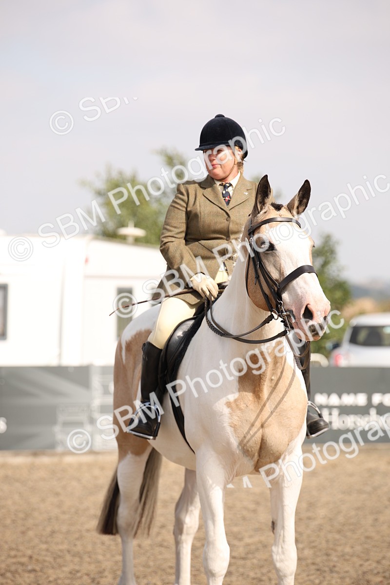 SBM_14233 - Class 407a - Working Veteran 60cm (15-19