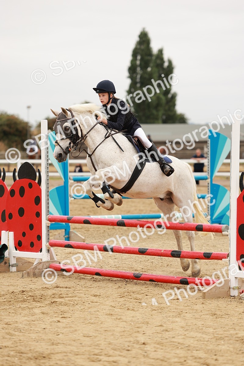 SBM_008337 - Class 5 - 80cm