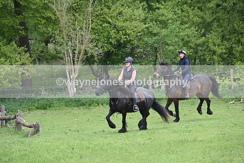 WJ6_2660 - A camera