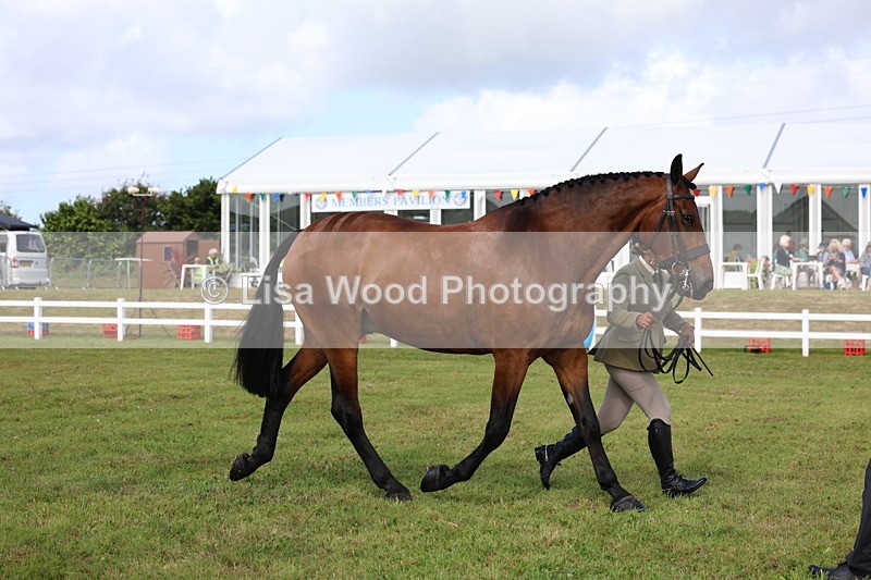 3E7A9508 - Class 4: Rising Star M/H Hunter