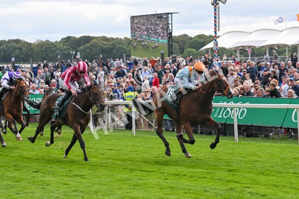210825-Race 2-Song Of The Clyde-3980 - Race 2 2.25pm Harry's Half Million By Goffs