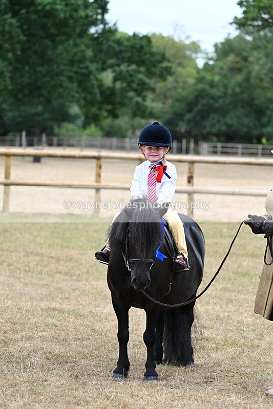 WJ7_8598 - Class 4 Prettiest Mare up to 14.2hh