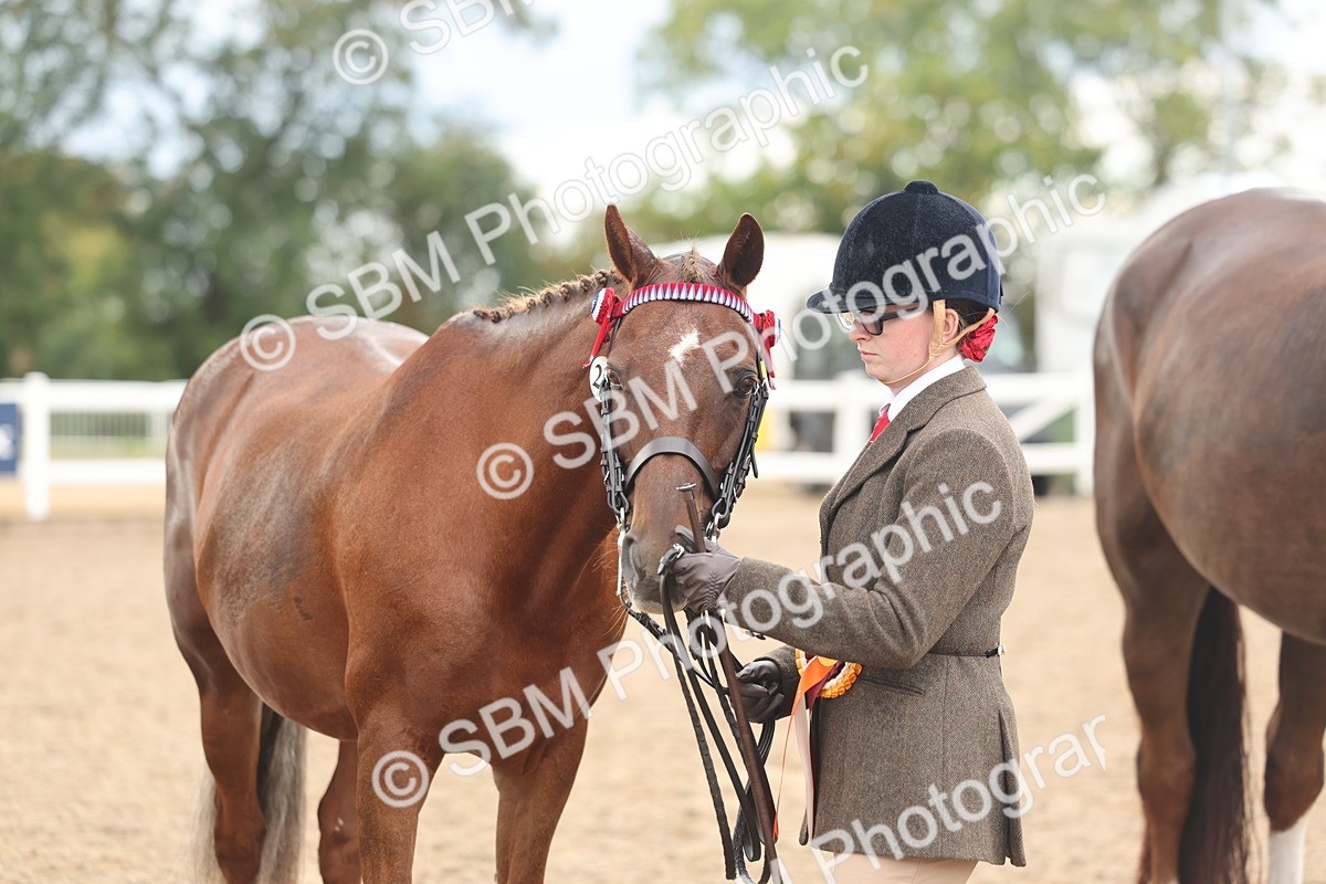 SBM_07837 - Class 27 - IH Competition Horse/Pony