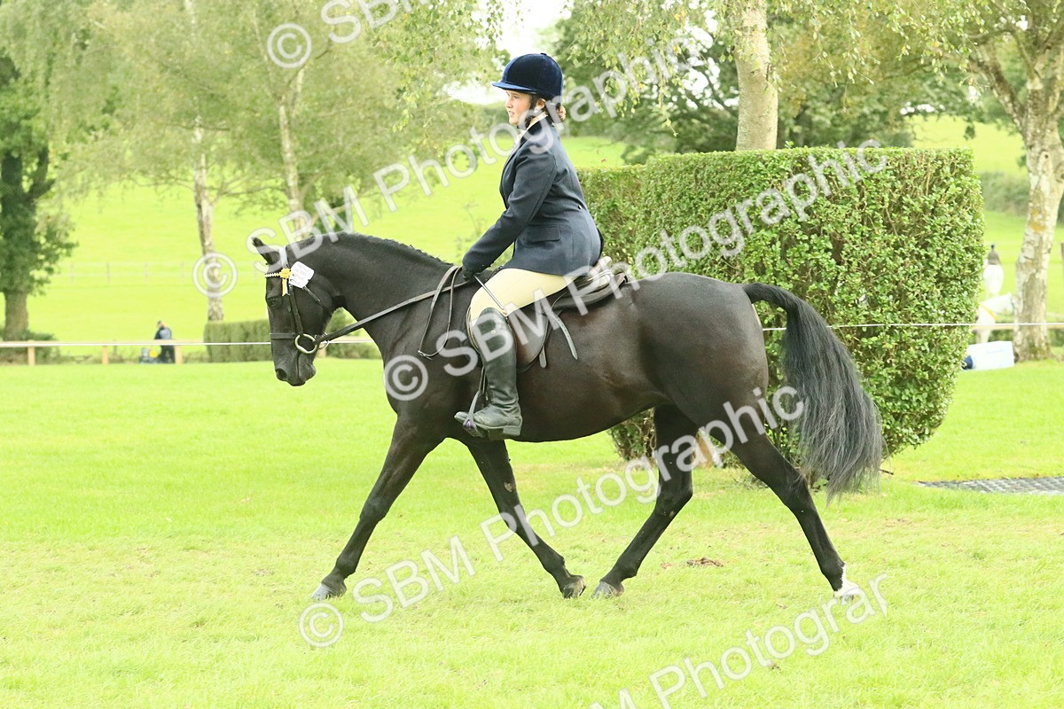 SBM_74099 - S 61 - Show Pony & Show Hunter Pony Ridden