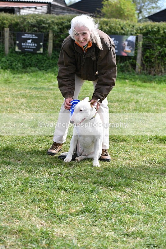 WJ5_0638 - Class 7 Best Terrier