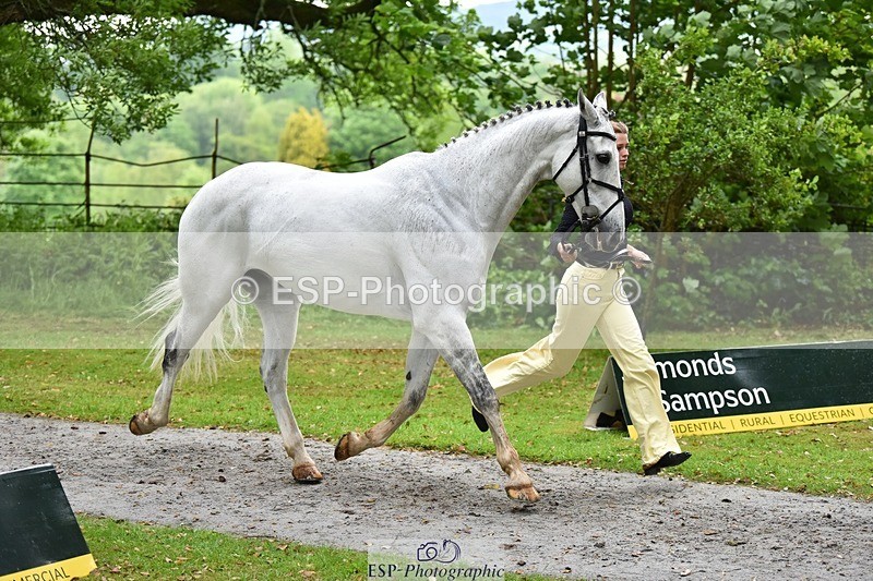 240522-161546-00822 - 163-BRECHFA_BARUCH-Harriet_Beeby_Wynn