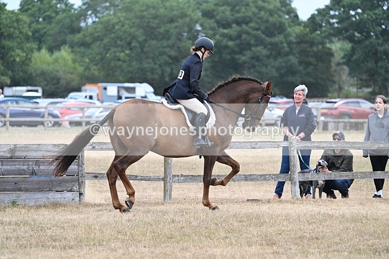 WJ7_0883 - Class 7 Riding Club Show Horse