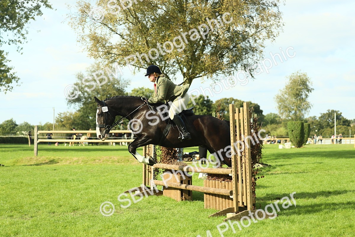 SBM_50621 - S33 - Working Hunter & Working Show Horse