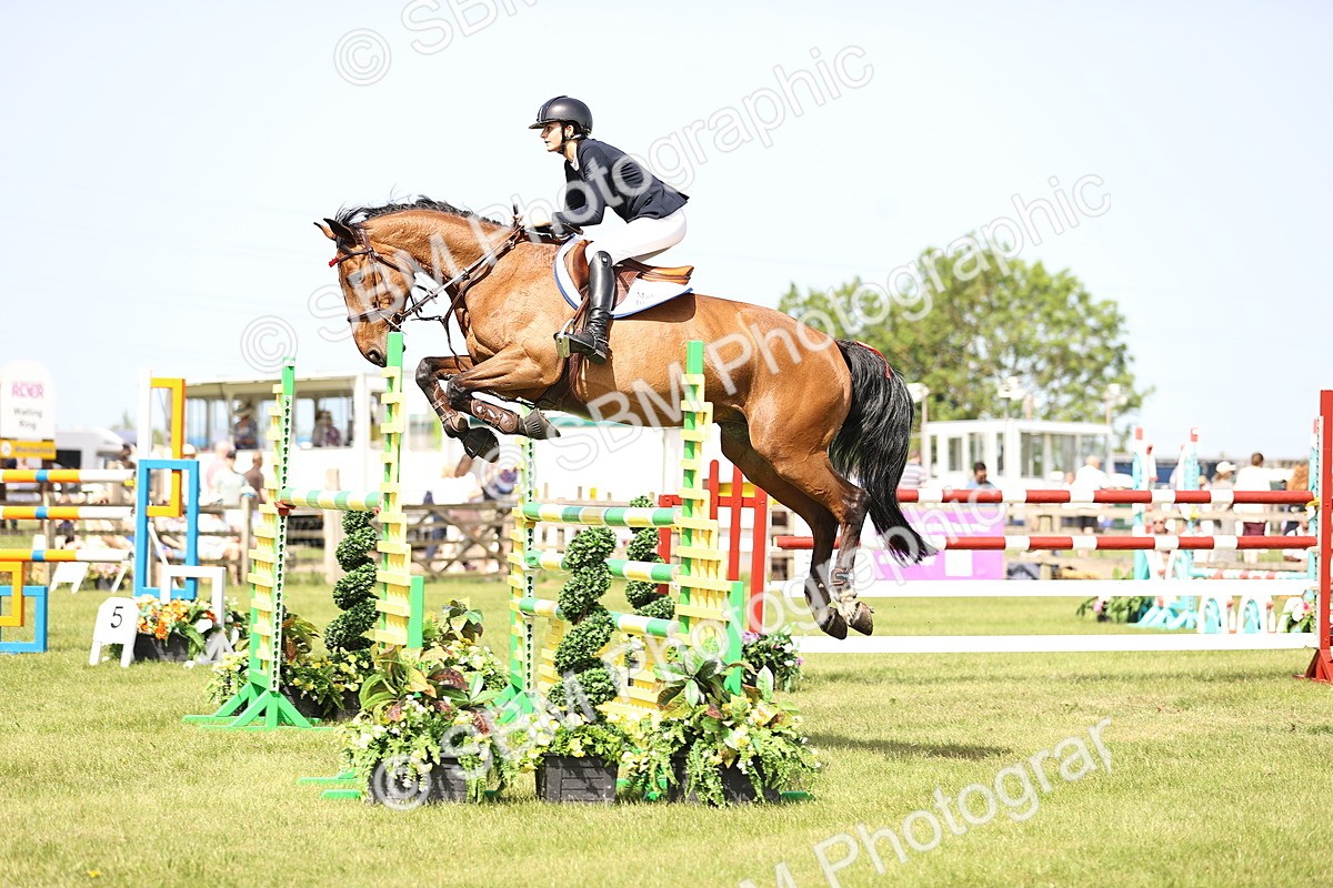 SBM_03112 - Class 201 - British Horse Feedds Speedi Beet HOYS Grade C
