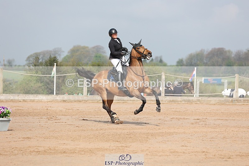 250424-103021-03059 - Cls 33 Young Horse 7yr old