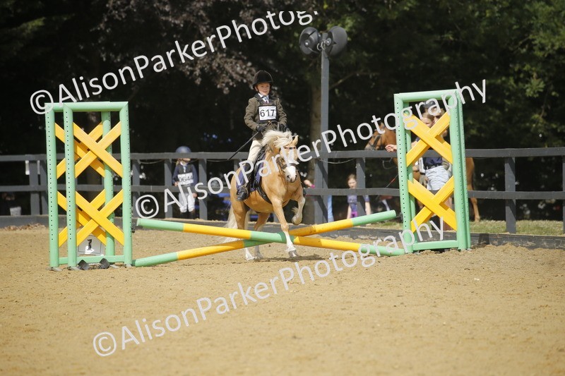 20250622-3785 - 50cm