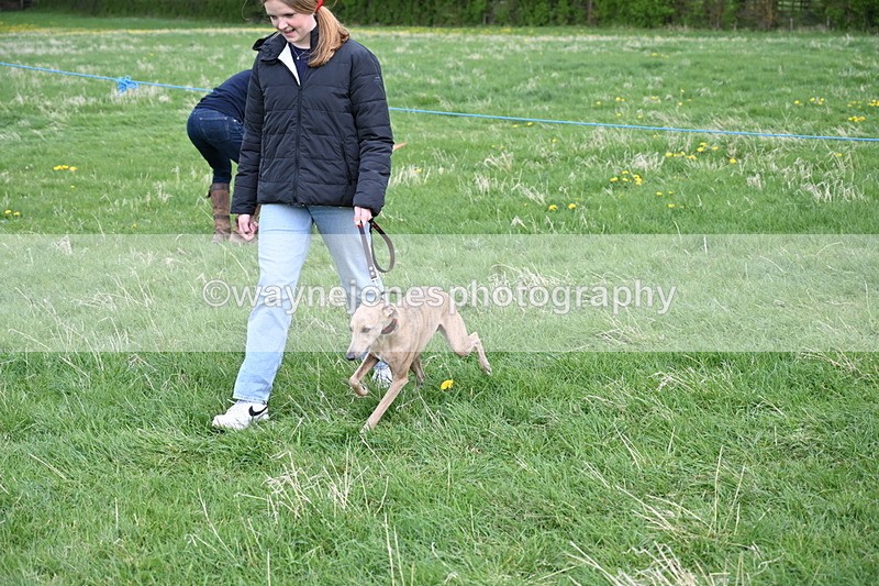 WJ6_8127 - Class 2 Best Pedigree