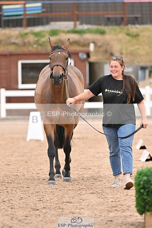 250716-160709-02419 - Trot Up 3.30 to 4.30