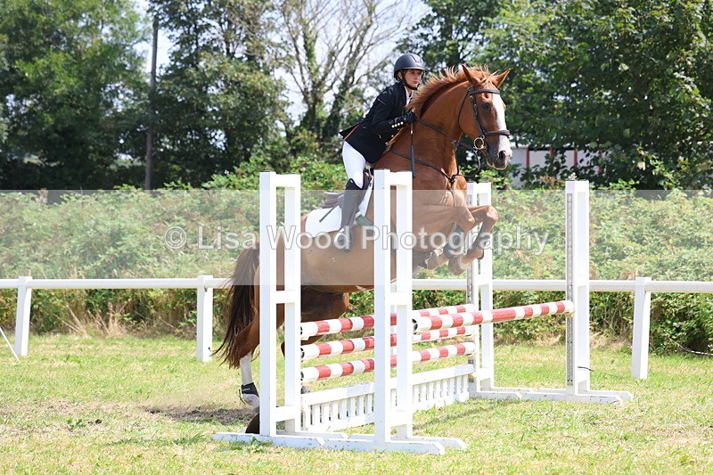 3E7A3002 - Class 7: Senior British Novice/90cm open