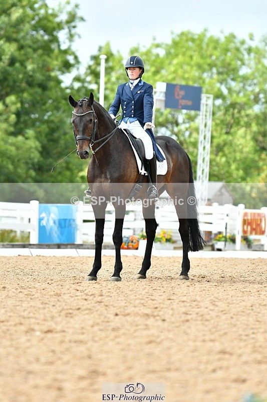 230702A-161530-11138 - Cls 37 + 42 FEI PSG + GP