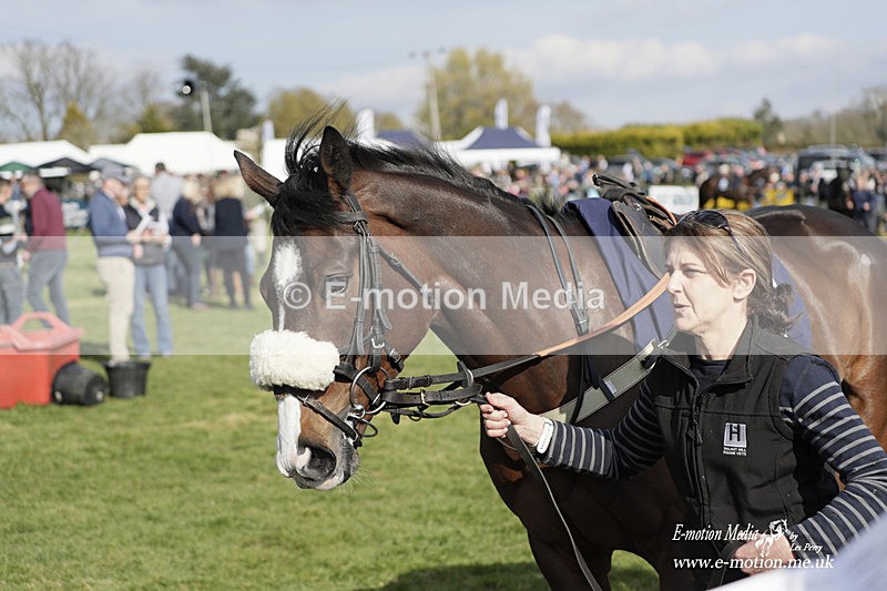 PtP 080423 696 - Dingley Races The Woodland Pytchley Hunt PtP 08/04/23