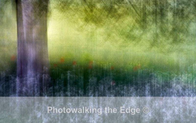 4 Seasons - Abstract - ICM