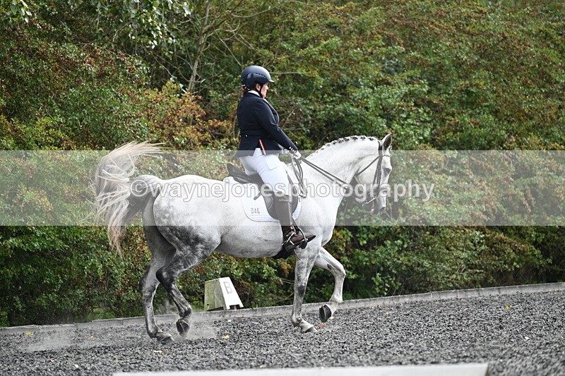 WJ7_6882 - Time 14:49 to 15:14