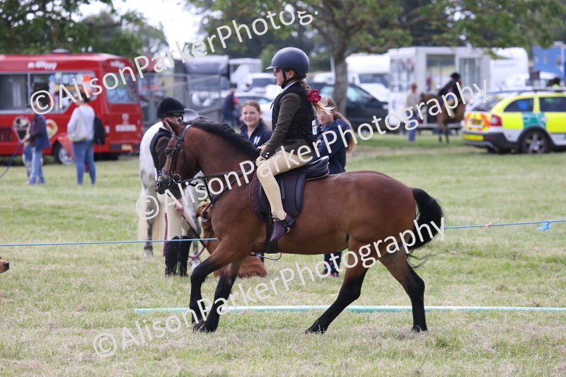 20260614-1833 - Class 21 - Novice Working Hunter Pony