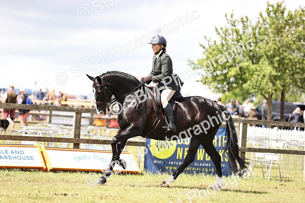 SBM_14561 - Class 88-89 - LIHS BSHA Rising Star of Ridden Hunter Type