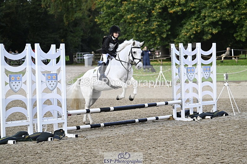 251005A-090552-02945 - Cls 02 GR 50cm