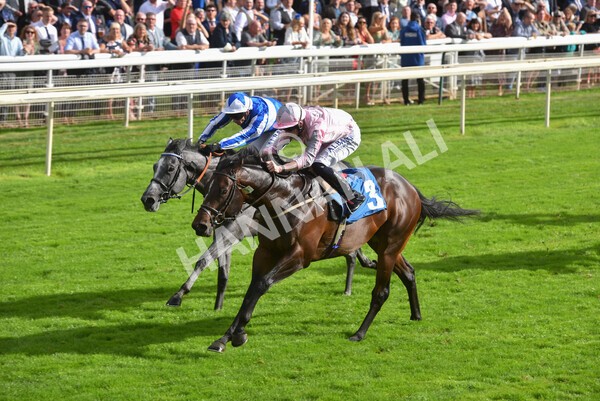 yr24092021r4-28 - Race 4 3.15pm William Hill Play Responsibly British EBF Restricted Novice Stakes