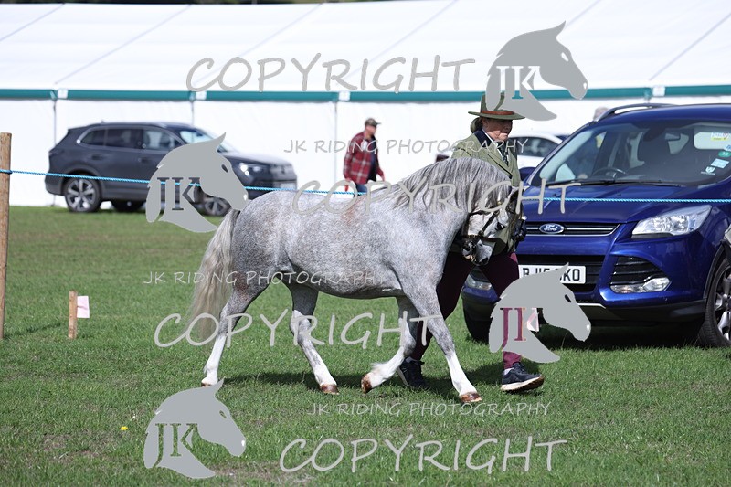 APP_2776 - Class 10a/b M&M in hand