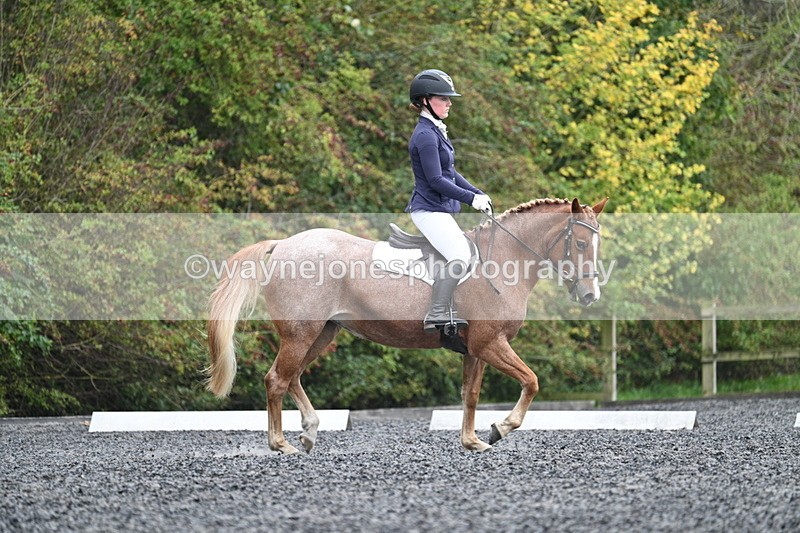 WJ7_3697 - Time 11:04 to 11:38