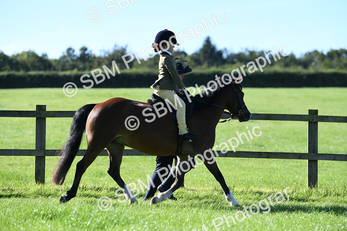 SBM_36764 - S18 - Novice & Newcomers Lead Rein Pony