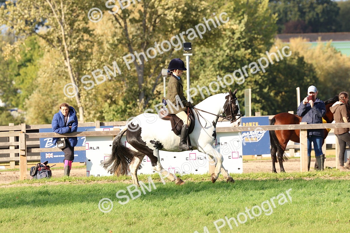 SBM_52581 - S13 - Pony Club Pony