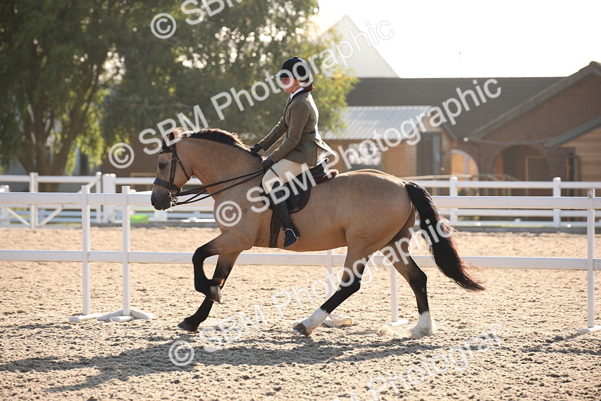 SBM_00660 - Class 14 Ridden M&M Wildcard