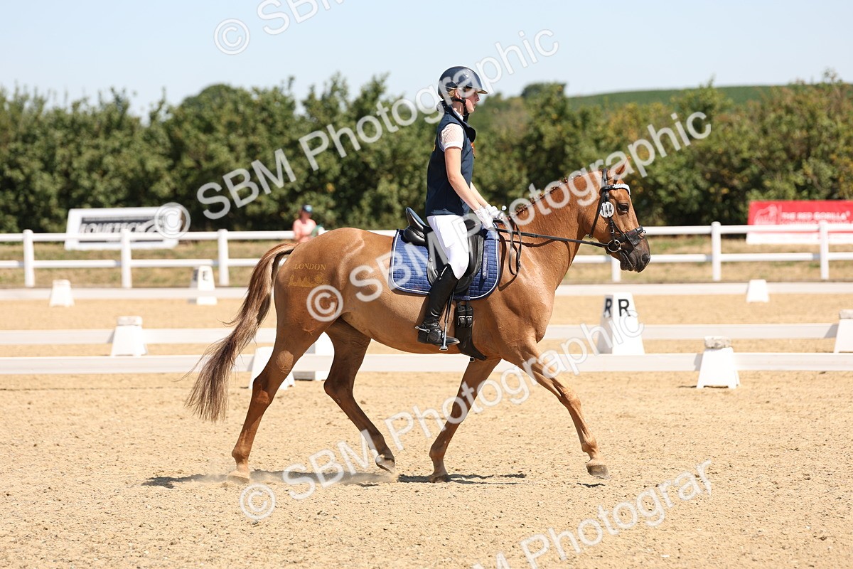 SBM_001227 - Intro 2