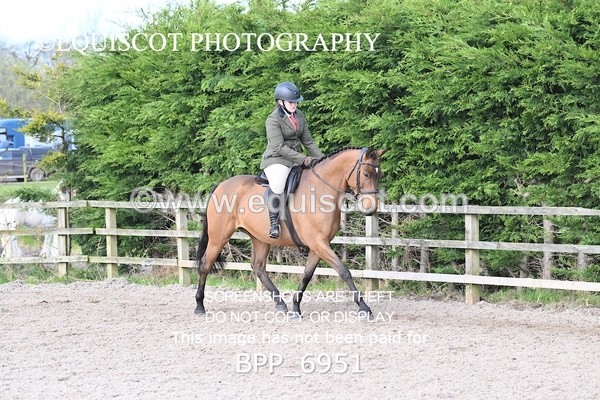 BPP_6951 - RING 1  (RIDDEN HORSES / IN HAND / VETERAN ETC)