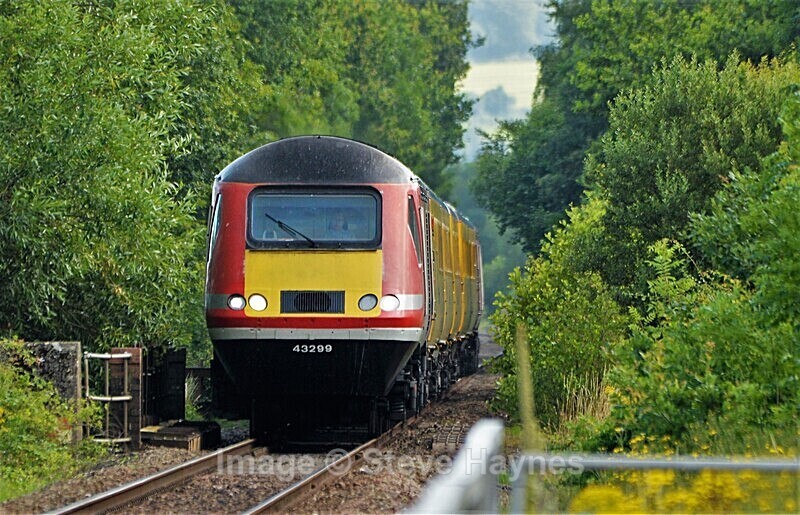 29th July 2021 - Axminster, Devon